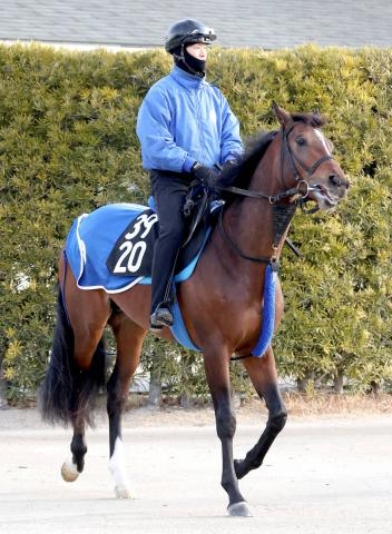 【若駒S】日英G1・2勝ディアドラ全弟イベントホライゾンが出世レースVへ　池江調教師「素質は高いものを…」