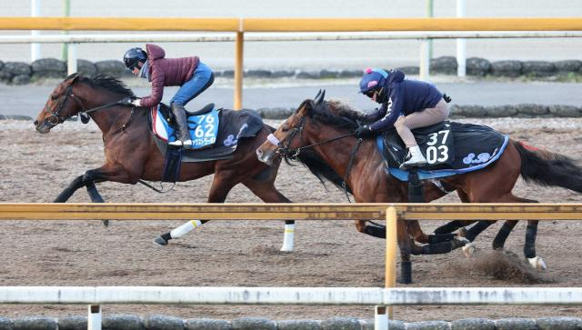 【AJC杯】ファウストラーゼン　馬なりシャープ　横山武「先入観なく騎乗したい」