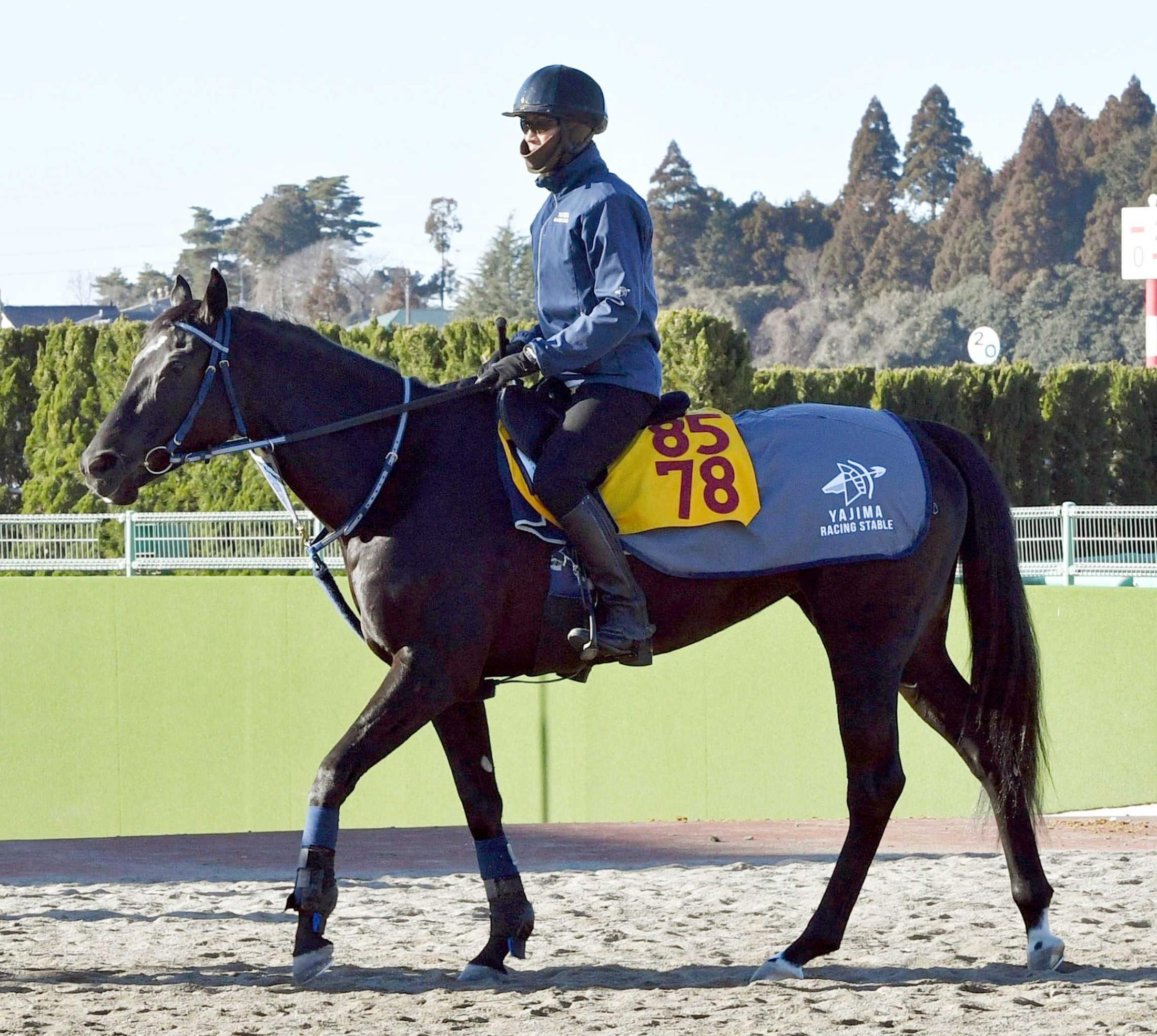 【シルクロードＳ】ウインアイオライト　兄・ウインカーネリアンを追う　６歳にして初の重賞挑戦の遅咲き
