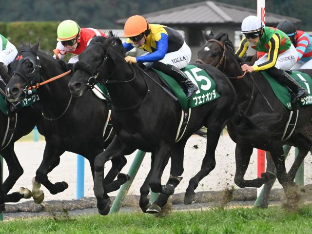 【東京新聞杯想定】ブエナオンダ、オフトレイルなど15頭