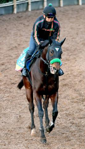 【根岸S】24年覇者エンペラーワケアは1週前に好時計マーク　杉山晴調教師「ある程度動ける状態です」