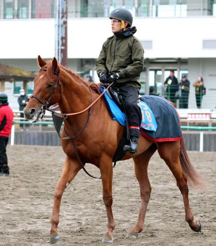 岩田望来騎手がアロヒアリイと初コンタクト「長く良い脚を使う馬」来月海外G1挑戦へ3頭併せでイメージつかんだ