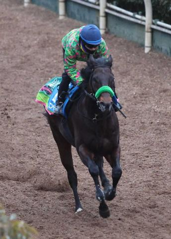 【根岸S】エンペラーワケア　史上初の隔年制覇へ万全　坂路ラスト1F12秒3「休み明けでも動けてる」