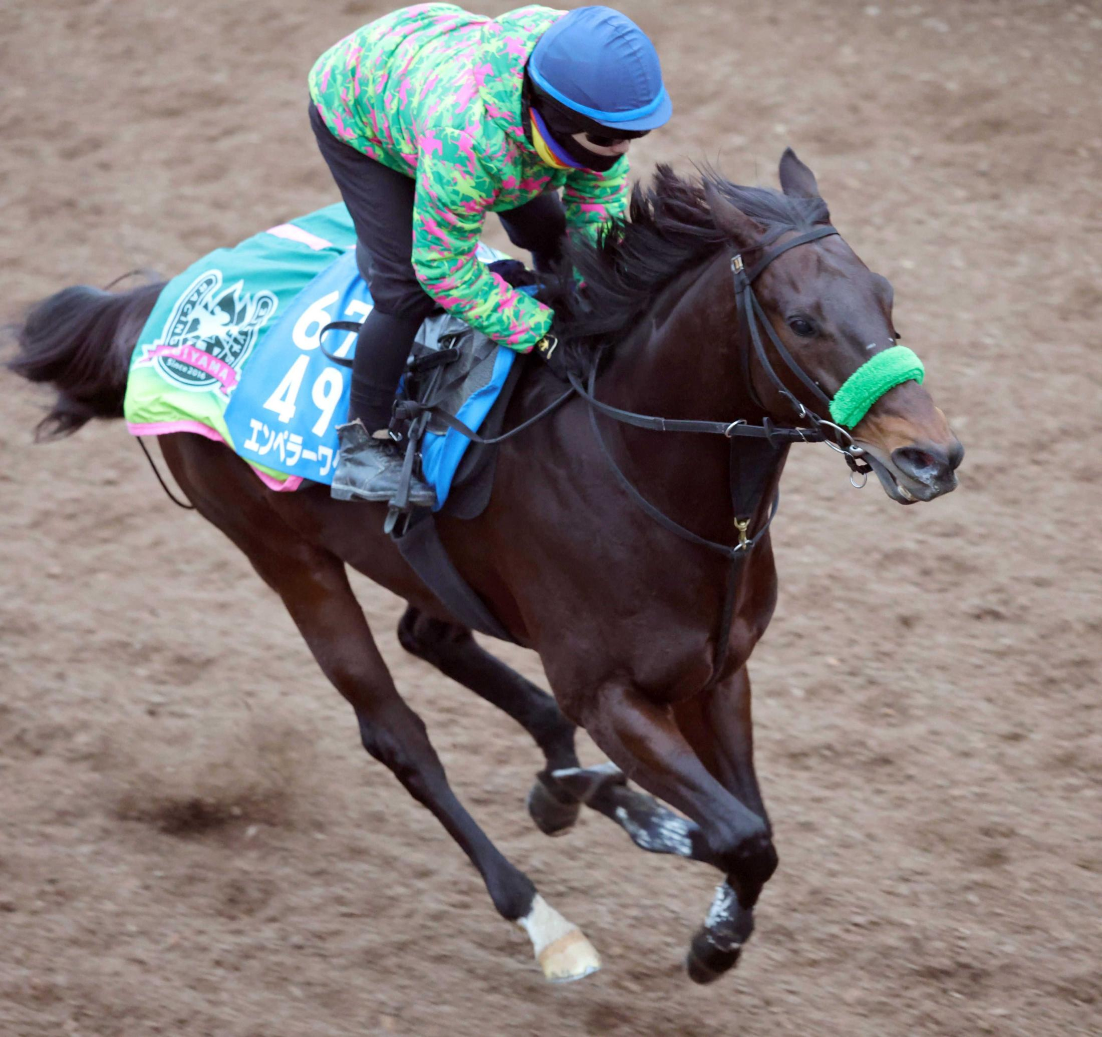 【根岸Ｓ】エンペラーワケア態勢万全「休み明けのなかでは」杉山晴師に納得の表情　１週前には一番時計