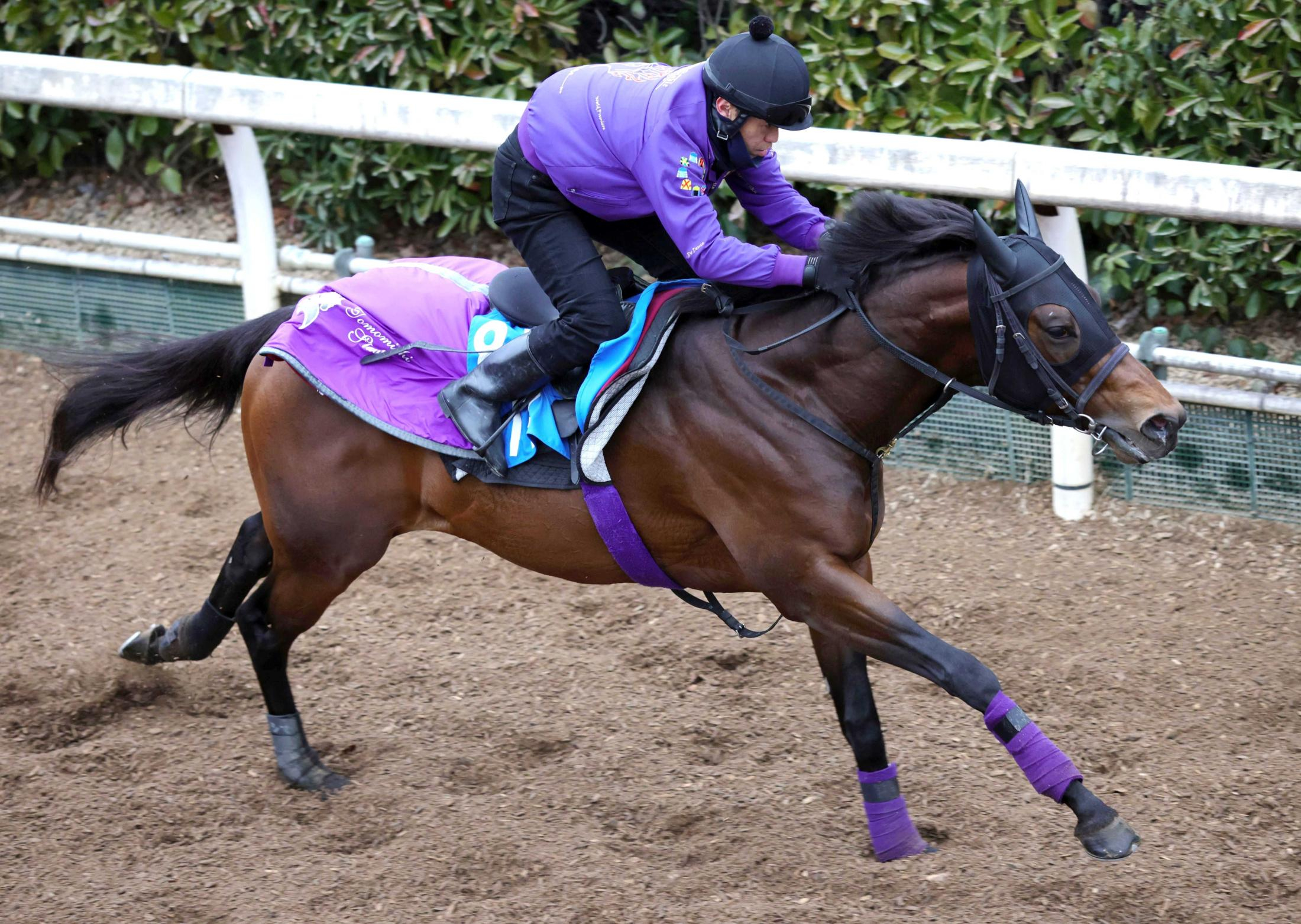 【シルクロードＳ】ロードフォアエース　荒れ馬場もパワフル単走　“中長距離王国”友道勢初の短距離タイトルへ