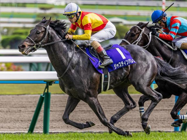 半兄は天皇賞(春)覇者のジャスティンパレス ダイヤモンドパレスがデビュー勝ち狙う