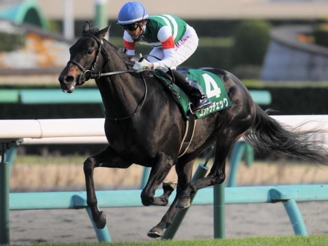 重賞3勝コントラチェックの初仔 カーブドフェザーがC.ルメール騎手でデビュー