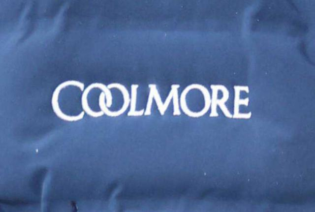 クールモアスタッドが本格的な日本参戦について言及「大きな戦略計画もありません」　JRAの馬主免許を取得も