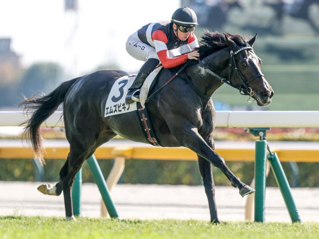 【きさらぎ賞想定馬・騎手】エムズビギン、ショウナンガルフなど11頭