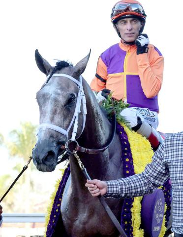 ケンタッキーダービー最有力候補テッドノフィーが故障離脱　3冠参戦を断念して夏以降の復帰へ