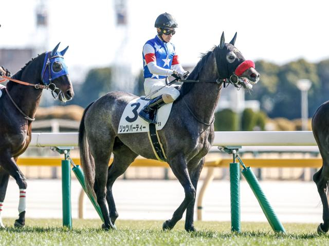 【メイクデビュー東京5Rレース後コメント】リッツパーティー柴田善臣騎手ら