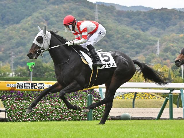 【シルクロードS前日オッズ】ヤブサメが3.7倍で1番人気