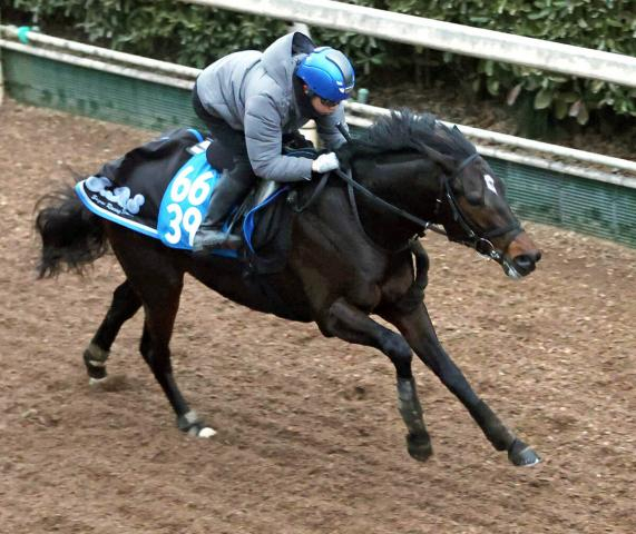 【根岸S】前日の単勝1番人気はインユアパレスの3・5倍　重賞初挑戦の2頭を含む4頭が10倍以下