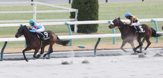 【舞鶴S】プロミストジーン、5馬身差つけ快勝オープン入り　武豊も満足げ