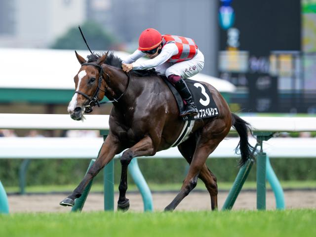 【シルクロードS予想】逃げ切り、押し切り困難な短距離戦 高松宮記念に向けて好発進を決めるのは