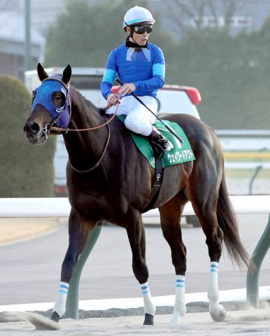 【根岸S】戸崎圭太騎手のウェイワードアクトは7着　重賞初挑戦Vならず戸崎圭太騎手「原因が分かりません」