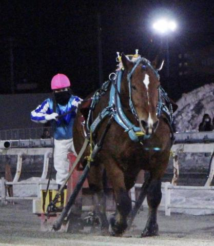 今年度で引退、サクラヒメが連覇達成!今井千尋騎手は重賞初勝利「本当に強い馬です」…ばんえい競馬、ヒロインズC