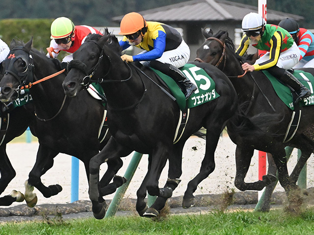 東京新聞杯ときさらぎ賞の2重賞 WIN5はキャリーオーバー/今週の競馬界の見どころ
