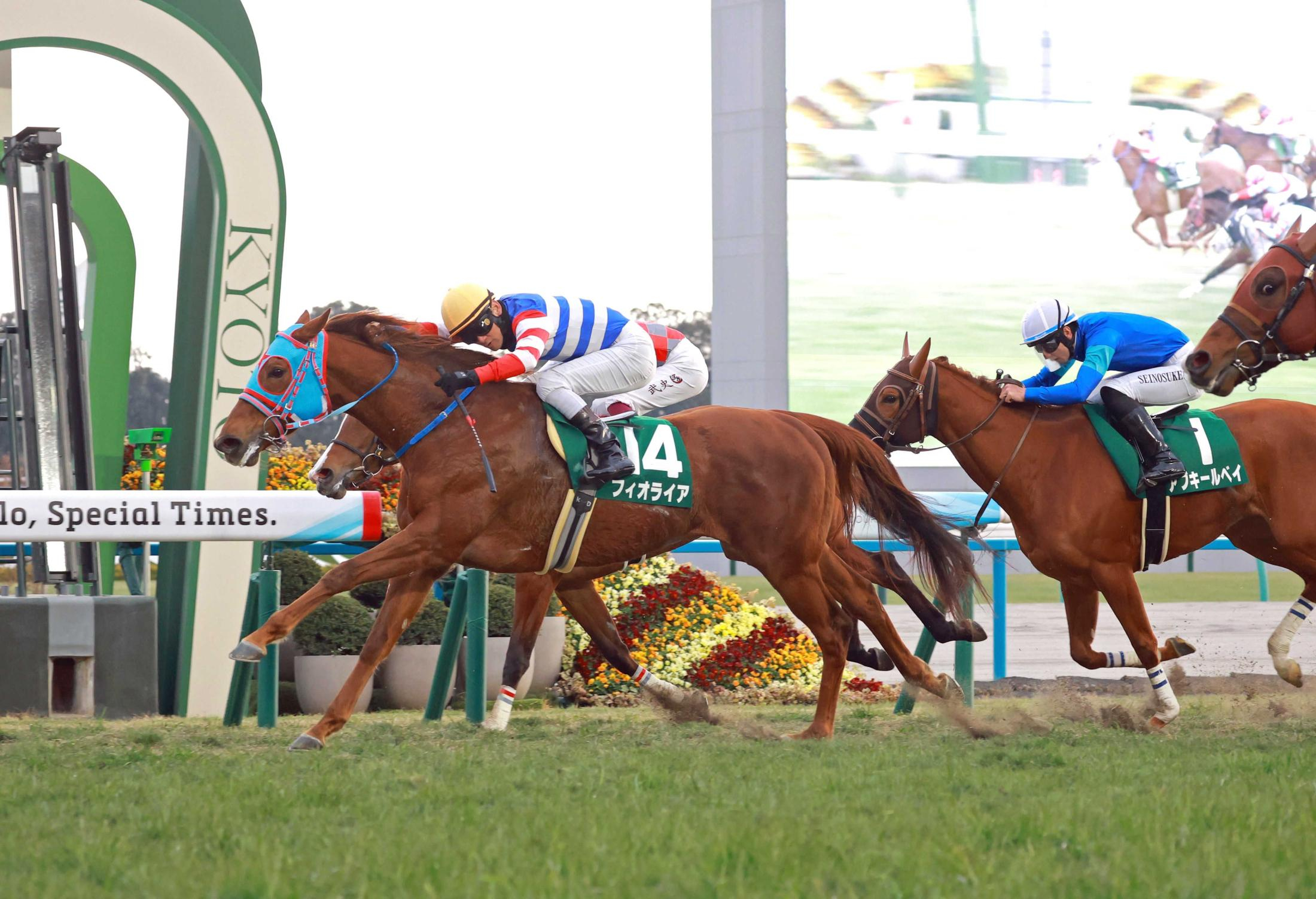 【シルクロードＳ】フィオライア　恩返しの逃走劇　番狂わせに今春定年・西園正師は大興奮「絶叫していました」