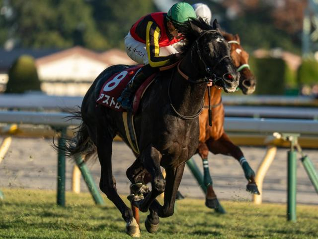 【きさらぎ賞見どころ】関西初見参のゾロアストロ