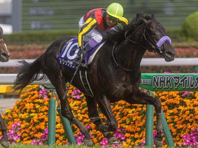 【東京新聞杯見どころ】上昇度魅力のマジックサンズ