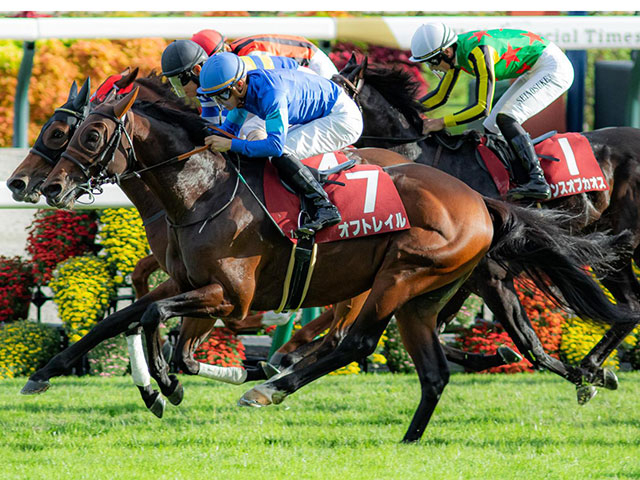 【東京新聞杯想定騎手】オフトレイルは菅原明良騎手、ブエナオンダは横山武史騎手