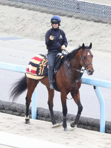 【きさらぎ賞】ゴーイントゥスカイ　淀での雪辱に燃える　栗東で入念調整「楽しみの方が大きい」