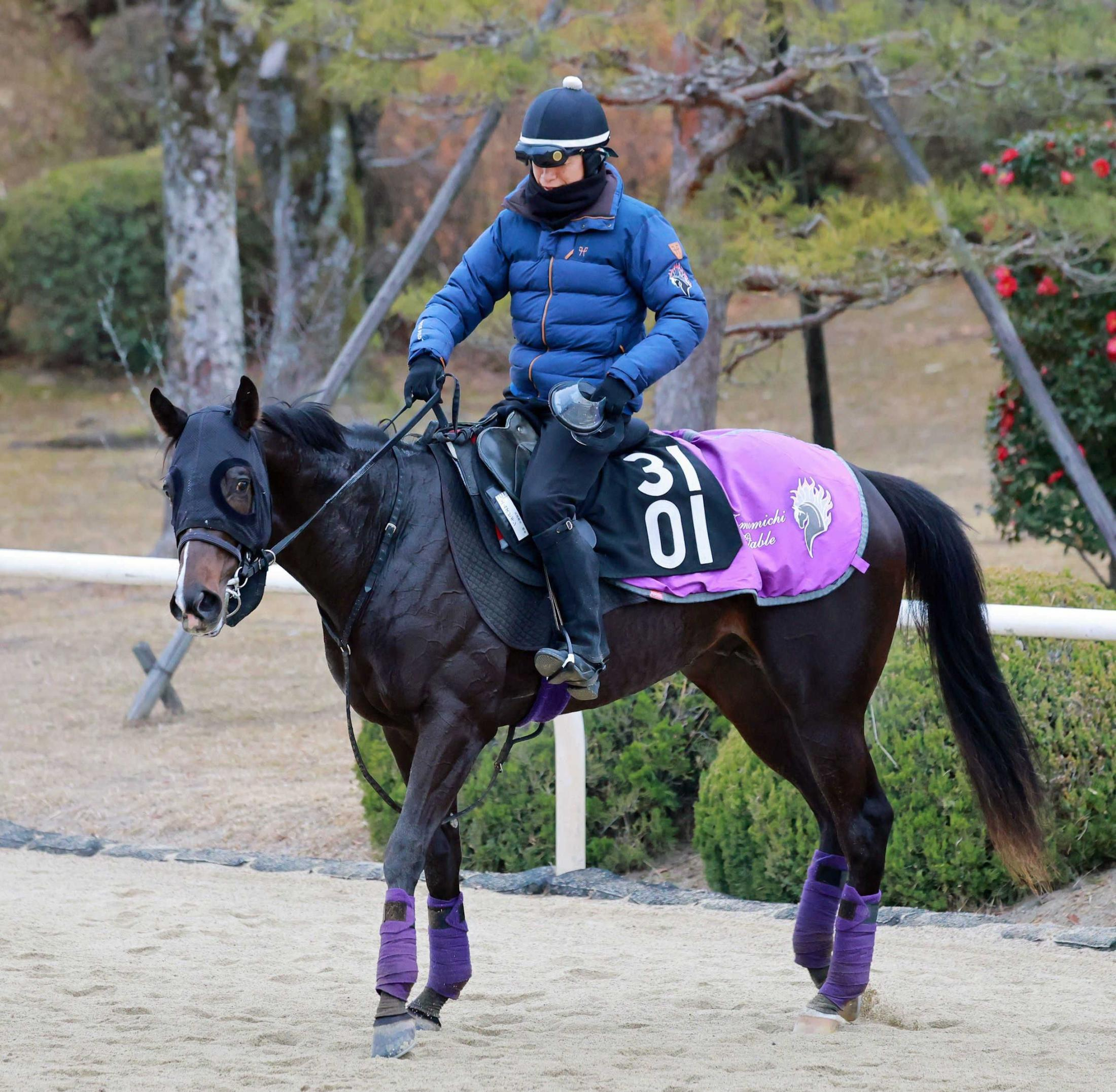 【きさらぎ賞】“６億円ホース”エムズビギン　状態も高値　キタサン産駒がクラッシック登竜門へ挑む