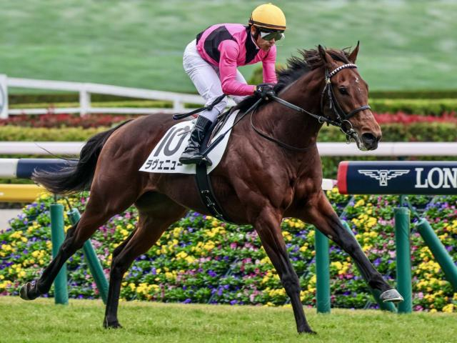 今週末で23年生まれ世代の「芝の新馬戦」が終了 今後に期待の3歳馬を紹介