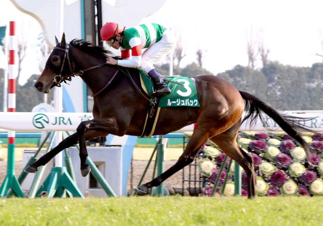 【競走伝】「強い馬は調教師要らず、と…」凄まじい末脚の“怪物牝馬”が半世紀ぶりの牝馬V　2015年きさらぎ賞