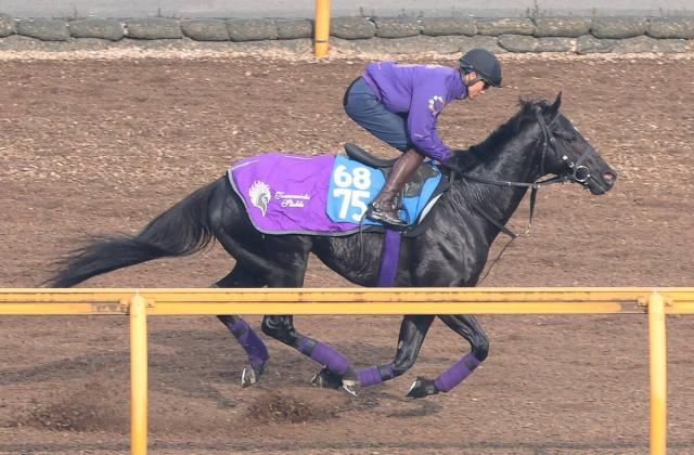 【注目馬動向】兄姉にG1馬3頭の良血馬　グランヴィノスは金鯱賞での復帰を視野