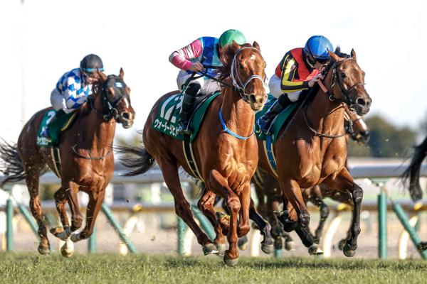 【東京新聞杯予想】東京新聞杯・「内枠、先行前残り」のトラックバイアスは信じられるか？