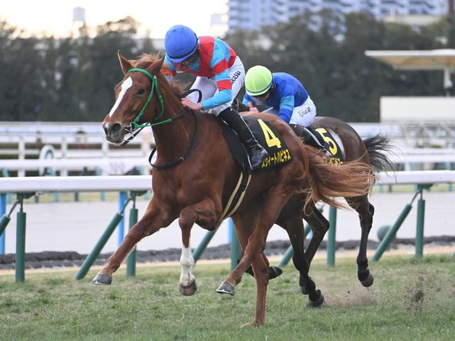 【エルフィンS結果】スウィートハピネスが人気に応えて直線一気V