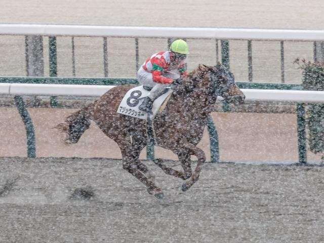 【3歳1勝クラス東京7Rレース後コメント】マジッククッキー上里直汰騎手ら