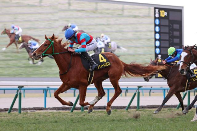 【エルフィンS】1番人気のスウィートハピネスが突き抜けた　桜花賞へ直行も
