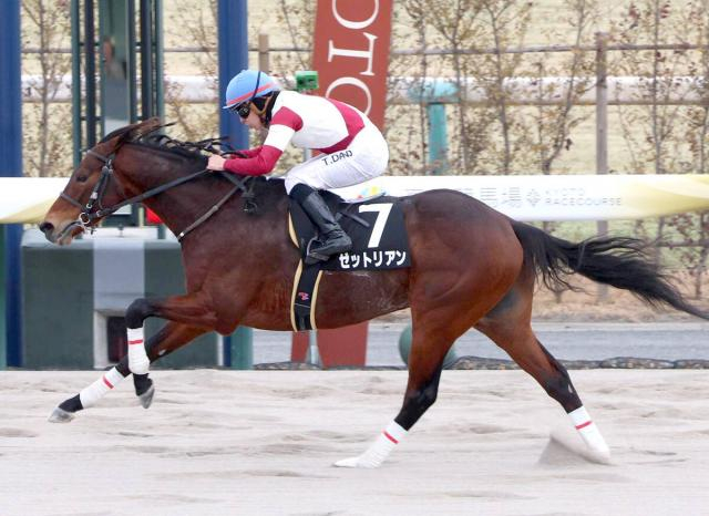 【京都11R・アルデバランS】6番人気ゼットリアンが豪快に突き抜ける　団野大成騎手「終わってみれば完勝」