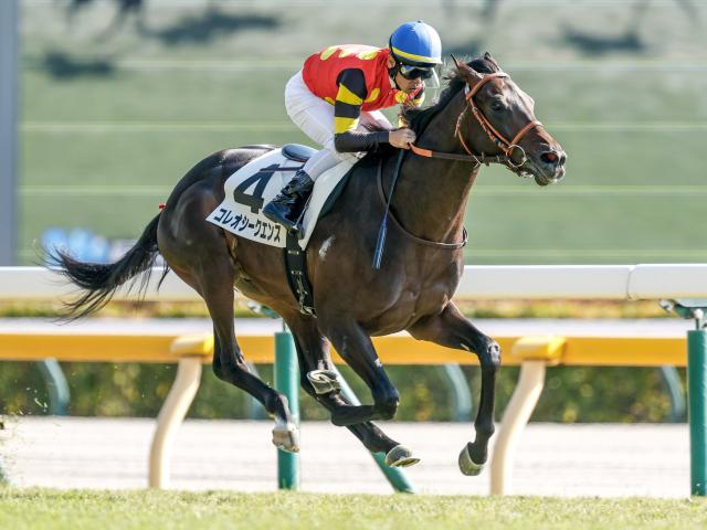 【きさらぎ賞予想】前走は相手に恵まれた可能性大！ 過去傾向からも強くは推せない危険視したい人気馬