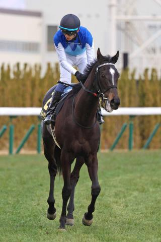 【エルフィンS】良血馬のアドマイヤシュラは4着　坂井瑠星騎手「もう少し距離があっていいタイプ」