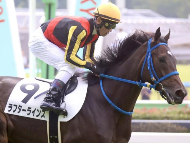 京都芝はディープ系が絶好調 きさらぎ賞はラフターラインズが波乱呼ぶ