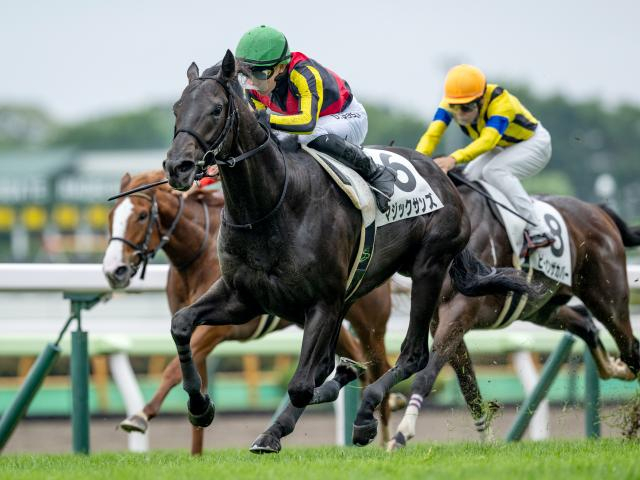 【東京新聞杯予想】開幕直後の馬場を味方にできる馬が有利!? 休み明けで折り合いに不安が残る軽視したい実力馬