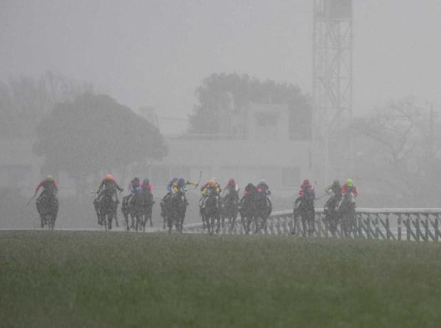 東京競馬が雪で中止打ち切り　「続行競馬」を実施しない理由とは?