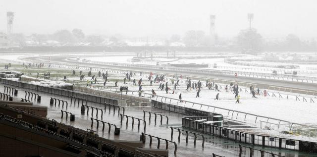 東京競馬は10日、京都競馬は9日に開催　出馬表は変わらず　8日中止の代替競馬