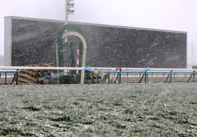 【きさらぎ賞】関東馬ゾロアストロのみ京都に到着　関西馬6頭と滞在馬2頭は栗東トレセンで調整