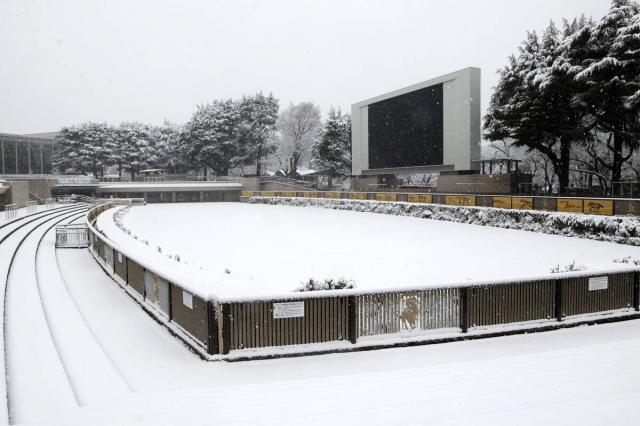 【東京新聞杯】ウォーターリヒトなど関西馬全頭は前日に到着済み　9日にダートコースを調教スペースにする予定