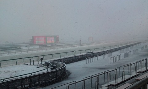 日曜なのに東京･京都競馬中止で時間持て余してるヤツ