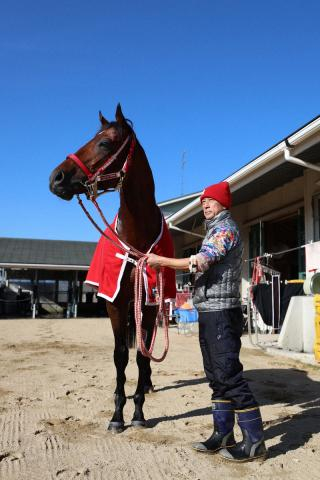 【サウジC】フォーエバーヤング　連覇へ充実ムード　4連勝中の米国馬ナイソスが“最大の敵”