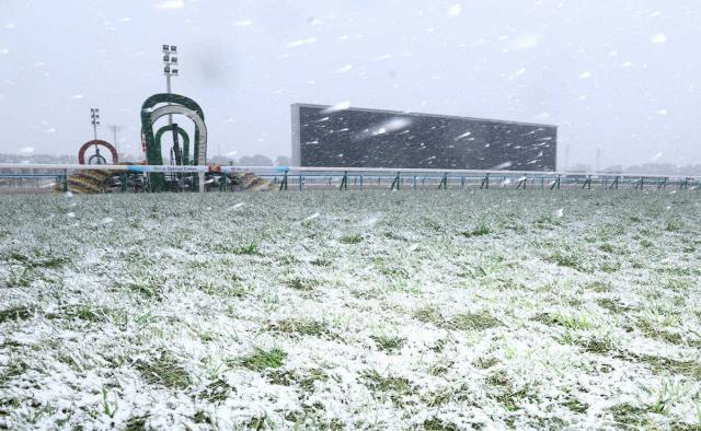 JRA同日2場中止は9年ぶり　降雪の影響で京都9日、東京10日に代替開催へ　出馬表は内容変更せず