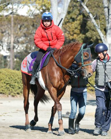 【東京新聞杯】G1馬復権へ　シャンパンカラーが絶好のデキ　田中剛調教師「すごく良いです」
