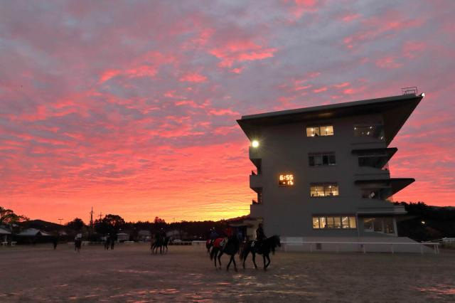 全休日の栗東トレセンは午前10時から馬場を開場 　10日の京都競馬出走馬は運動を行えることに