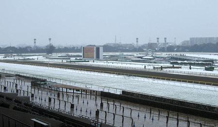 競馬で代替←「だいたい」なのか「だいがえ」なのか